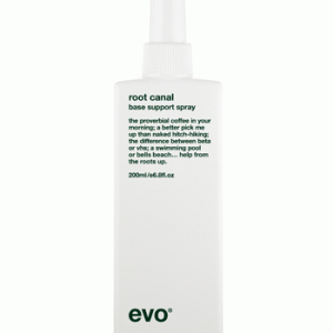 Evo Root Canal 200ml